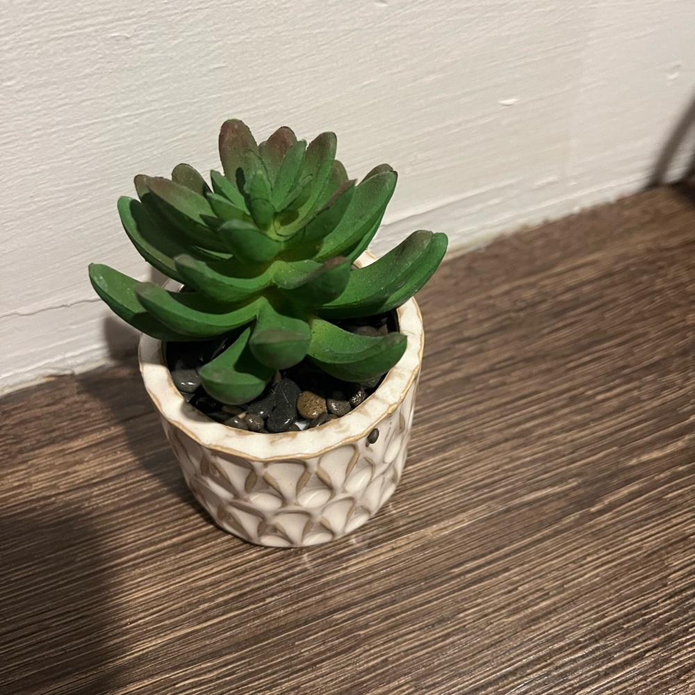 Fake plant